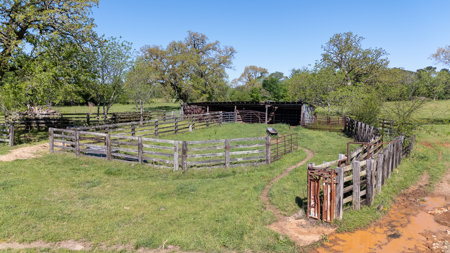 31.738 Acres for Sale on FM 344 Near Bullard Smith County TX - image 32