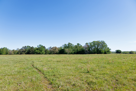 31.738 Acres for Sale on FM 344 Near Bullard Smith County TX - image 15