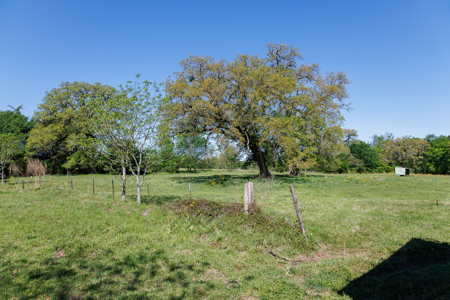 31.738 Acres for Sale on FM 344 Near Bullard Smith County TX - image 34