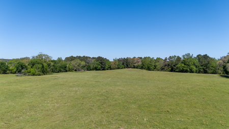 31.738 Acres for Sale on FM 344 Near Bullard Smith County TX - image 10