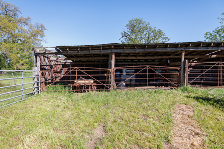 31.738 Acres for Sale on FM 344 Near Bullard Smith County TX - image 29
