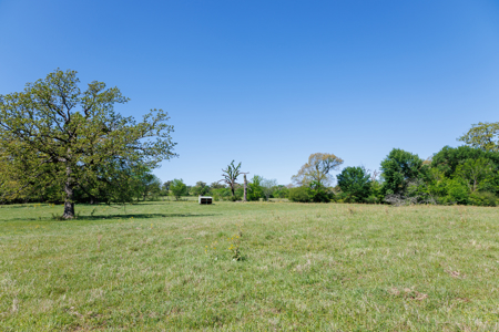 31.738 Acres for Sale on FM 344 Near Bullard Smith County TX - image 19