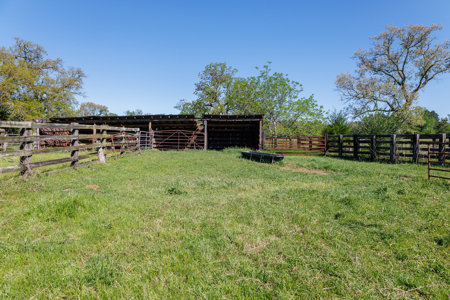 31.738 Acres for Sale on FM 344 Near Bullard Smith County TX - image 31