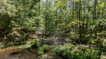 31.738 Acres for Sale on FM 344 Near Bullard Smith County TX - image 25