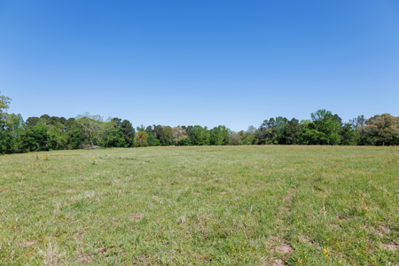 31.738 Acres for Sale on FM 344 Near Bullard Smith County TX - image 16