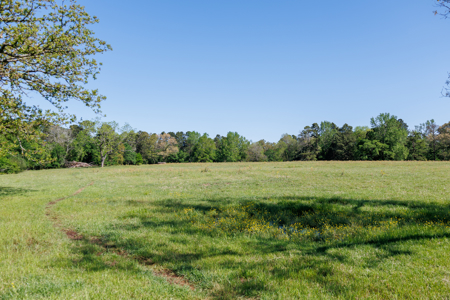 31.738 Acres for Sale on FM 344 Near Bullard Smith County TX - image 11