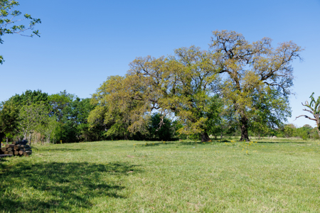 31.738 Acres for Sale on FM 344 Near Bullard Smith County TX - image 37