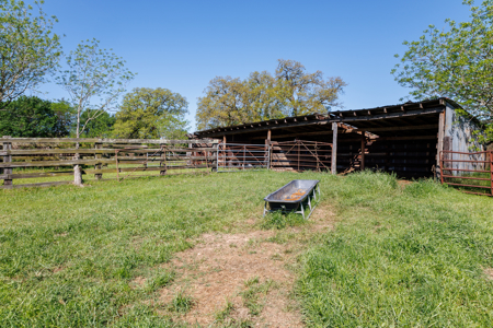 31.738 Acres for Sale on FM 344 Near Bullard Smith County TX - image 43