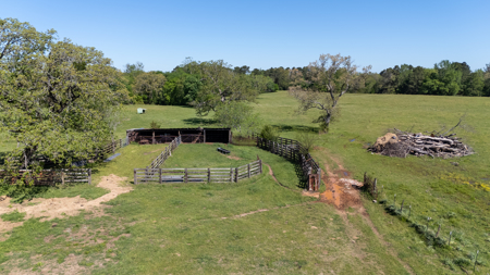 31.738 Acres for Sale on FM 344 Near Bullard Smith County TX - image 33