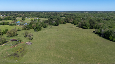31.738 Acres for Sale on FM 344 Near Bullard Smith County TX - image 9