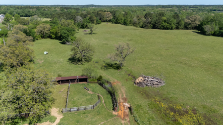 31.738 Acres for Sale on FM 344 Near Bullard Smith County TX - image 7