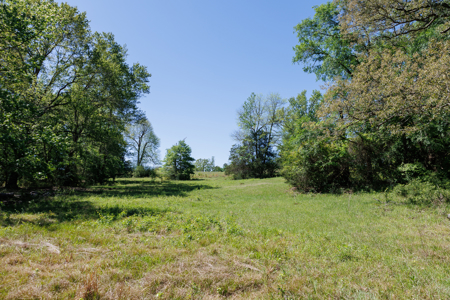 31.738 Acres for Sale on FM 344 Near Bullard Smith County TX - image 42