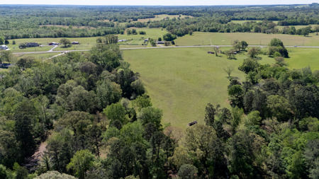 31.738 Acres for Sale on FM 344 Near Bullard Smith County TX - image 3