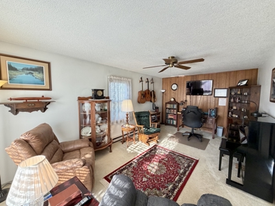 Beautiful 4 Bedroom Home for Sale in Salem, Missouri - image 8