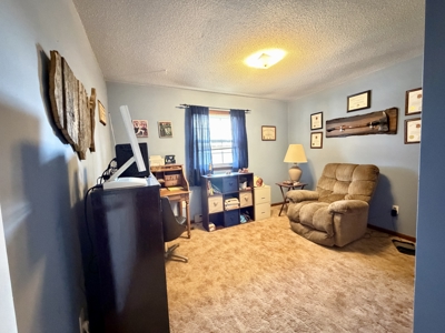 Move-In Ready 3 Bedroom Home for Sale in Salem, Missouri - image 19