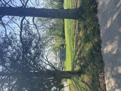 Lot for Sale in Salem, Missouri - image 3