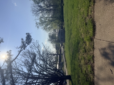 Lot for Sale in Salem, Missouri - image 4