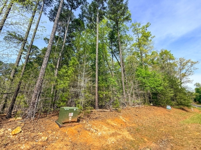 Kerr Lake Living with Dock Access & Boat Slip - image 19