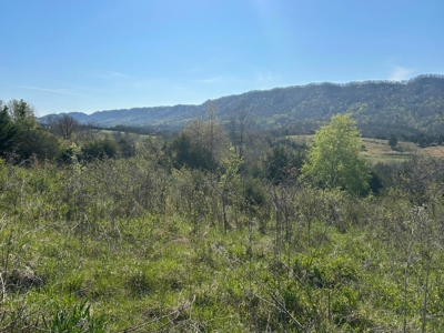6.92 Surveyed Acres For Sale in Hancock County, Tennessee - image 4