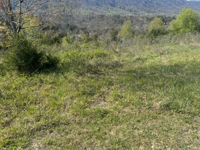 6.92 Surveyed Acres For Sale in Hancock County, Tennessee - image 2