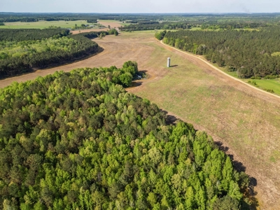 455 Acres Hunting & Income Land in Choctaw County MS - image 2