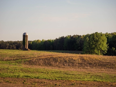 455 Acres Hunting & Income Land in Choctaw County MS - image 38