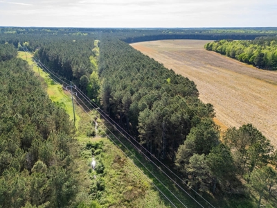 455 Acres Hunting & Income Land in Choctaw County MS - image 24