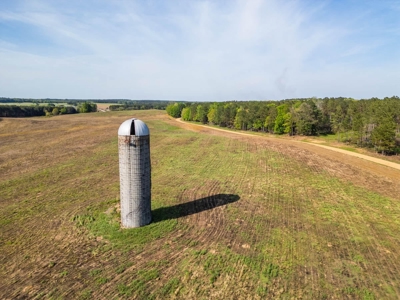 455 Acres Hunting & Income Land in Choctaw County MS - image 7