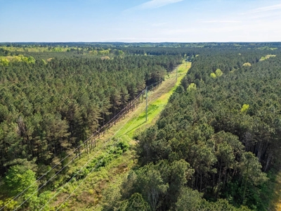 455 Acres Hunting & Income Land in Choctaw County MS - image 34