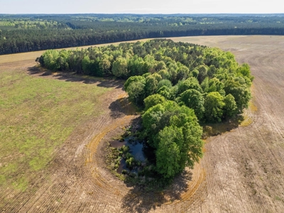 455 Acres Hunting & Income Land in Choctaw County MS - image 8