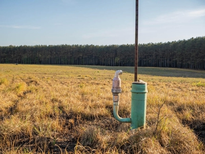 455 Acres Hunting & Income Land in Choctaw County MS - image 15