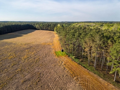 455 Acres Hunting & Income Land in Choctaw County MS - image 12