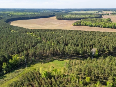 455 Acres Hunting & Income Land in Choctaw County MS - image 25