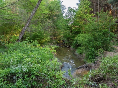 455 Acres Hunting & Income Land in Choctaw County MS - image 37