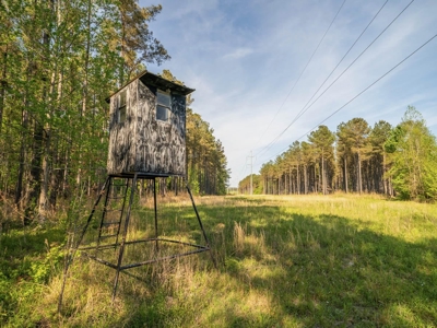 455 Acres Hunting & Income Land in Choctaw County MS - image 26