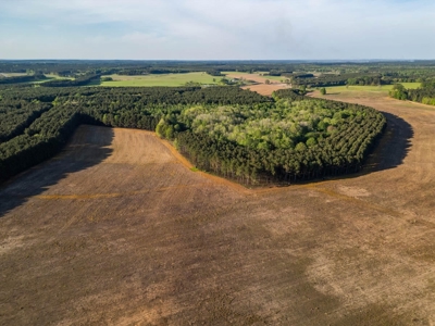 455 Acres Hunting & Income Land in Choctaw County MS - image 11