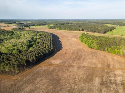 455 Acres Hunting & Income Land in Choctaw County MS - image 10