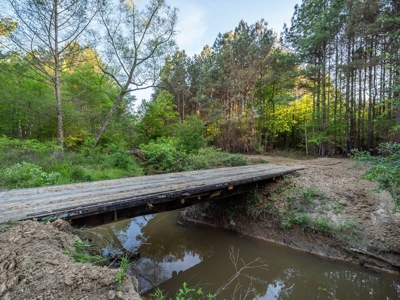 455 Acres Hunting & Income Land in Choctaw County MS - image 29