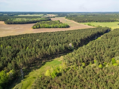 455 Acres Hunting & Income Land in Choctaw County MS - image 33
