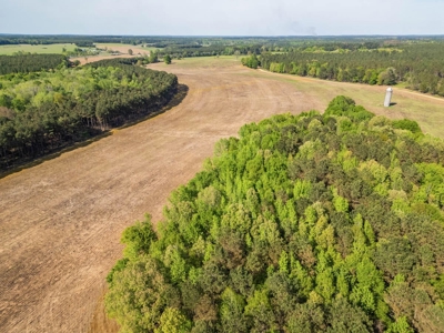 455 Acres Hunting & Income Land in Choctaw County MS - image 6