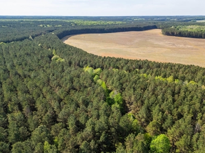 455 Acres Hunting & Income Land in Choctaw County MS - image 27