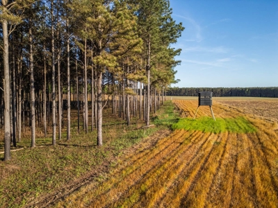 455 Acres Hunting & Income Land in Choctaw County MS - image 14