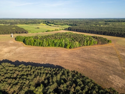 455 Acres Hunting & Income Land in Choctaw County MS - image 9