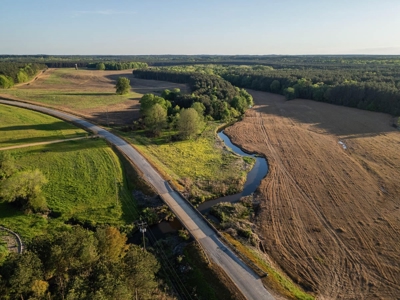 455 Acres Hunting & Income Land in Choctaw County MS - image 28