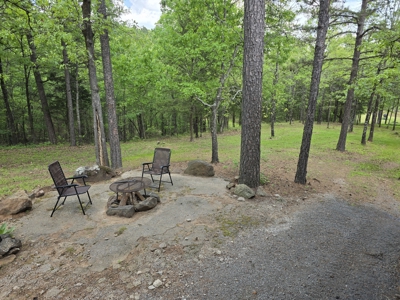 Country Home & Turnkey Recreational Property - image 48