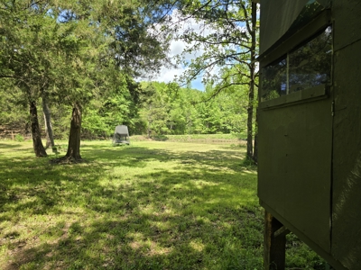 Country Home & Turnkey Recreational Property - image 36