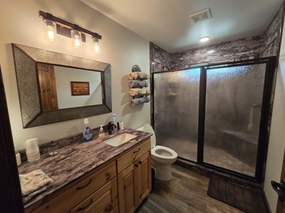 Country Home & Turnkey Recreational Property - image 19