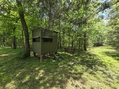 Country Home & Turnkey Recreational Property - image 35