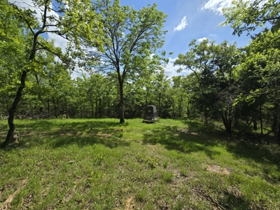 Country Home & Turnkey Recreational Property - image 39