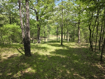 Country Home & Turnkey Recreational Property - image 34